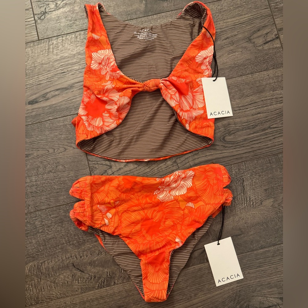 Acacia bikini